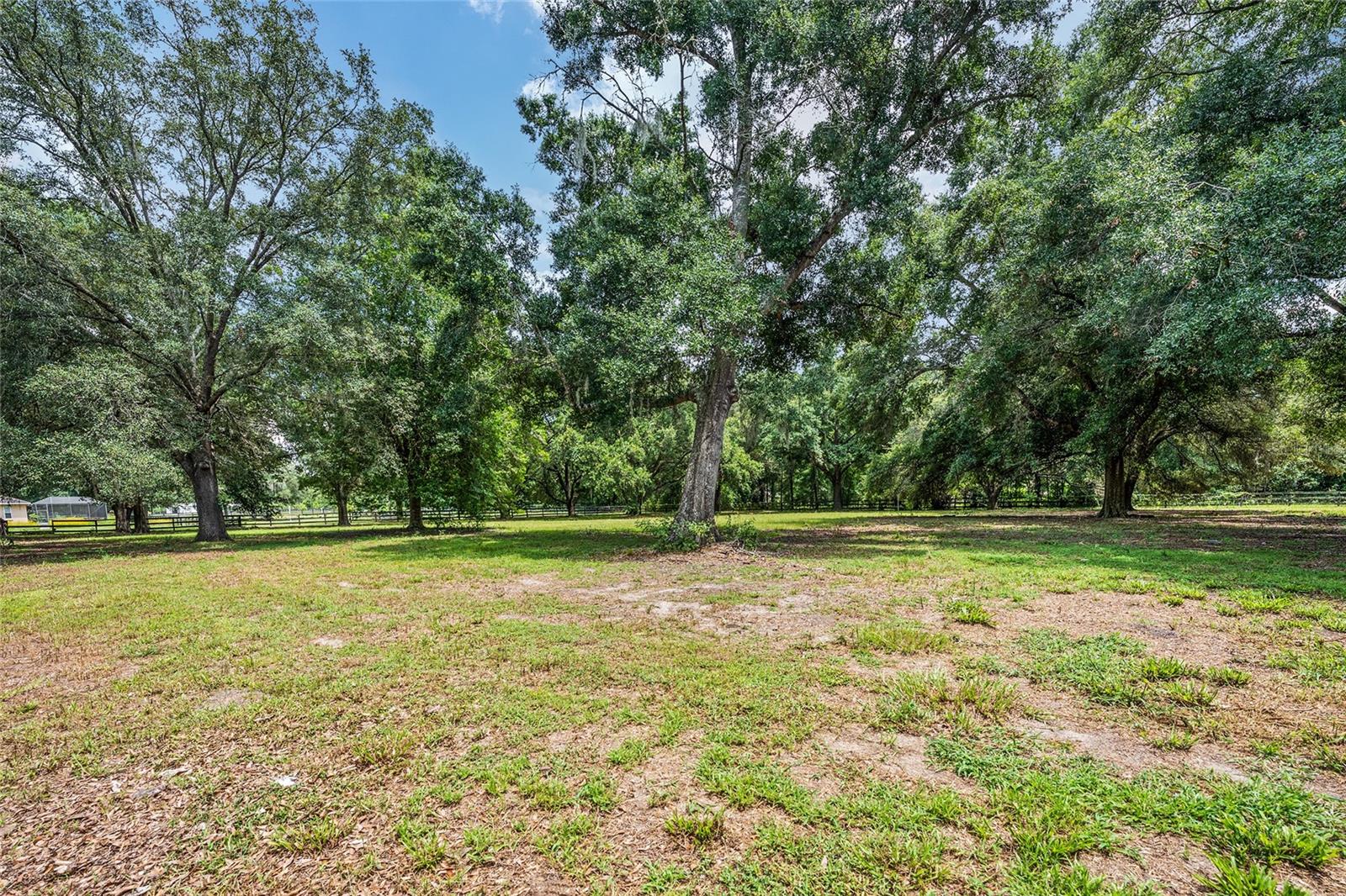 COUNTRYSIDE FARMS/OCALA - Residential