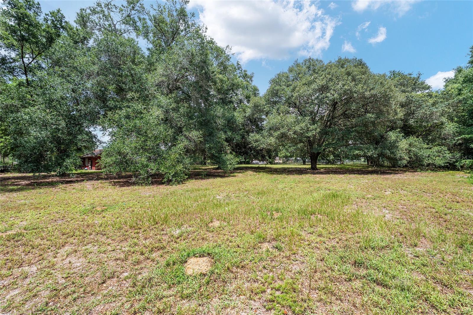 COUNTRYSIDE FARMS/OCALA - Residential