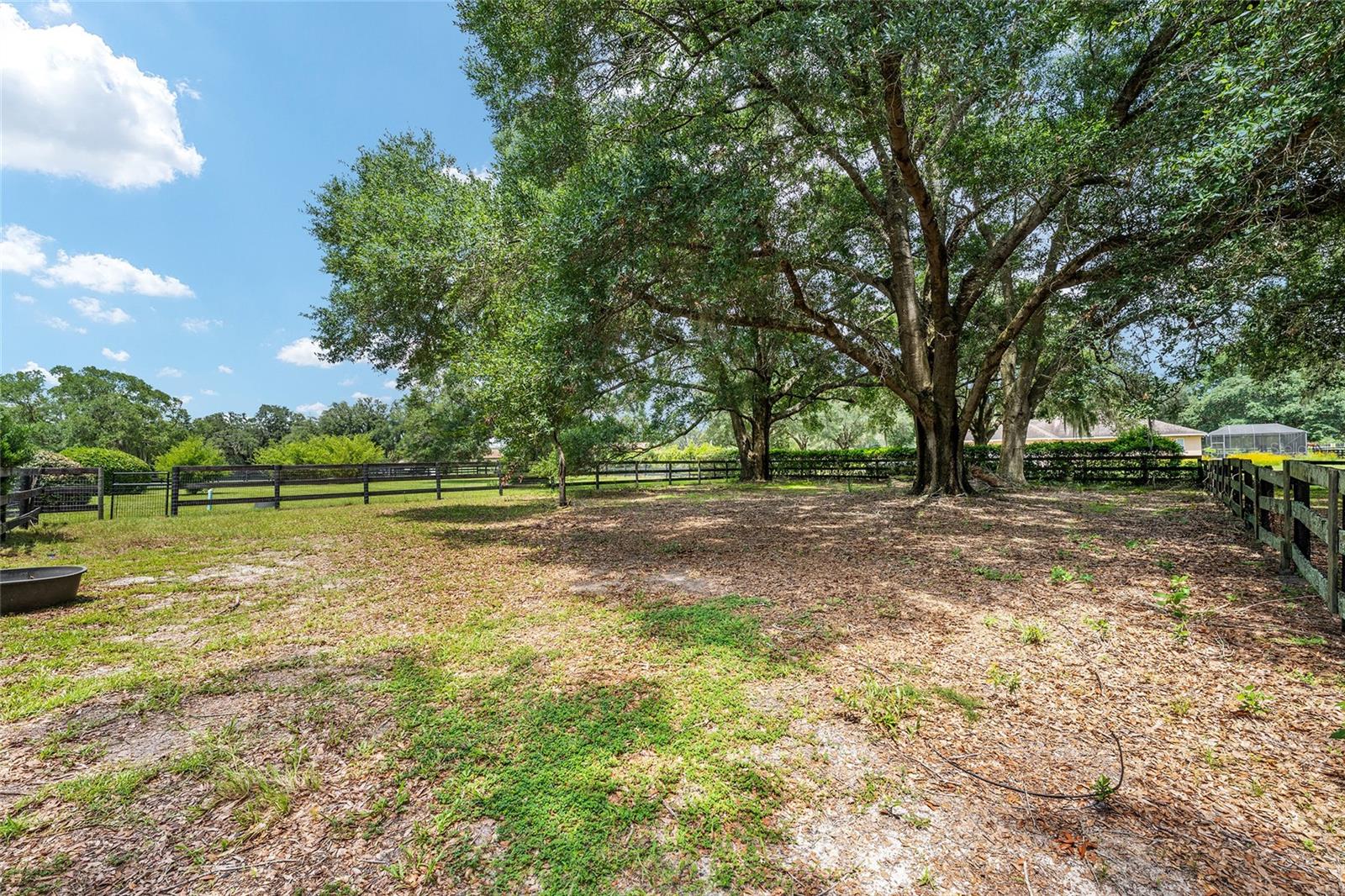 COUNTRYSIDE FARMS/OCALA - Residential