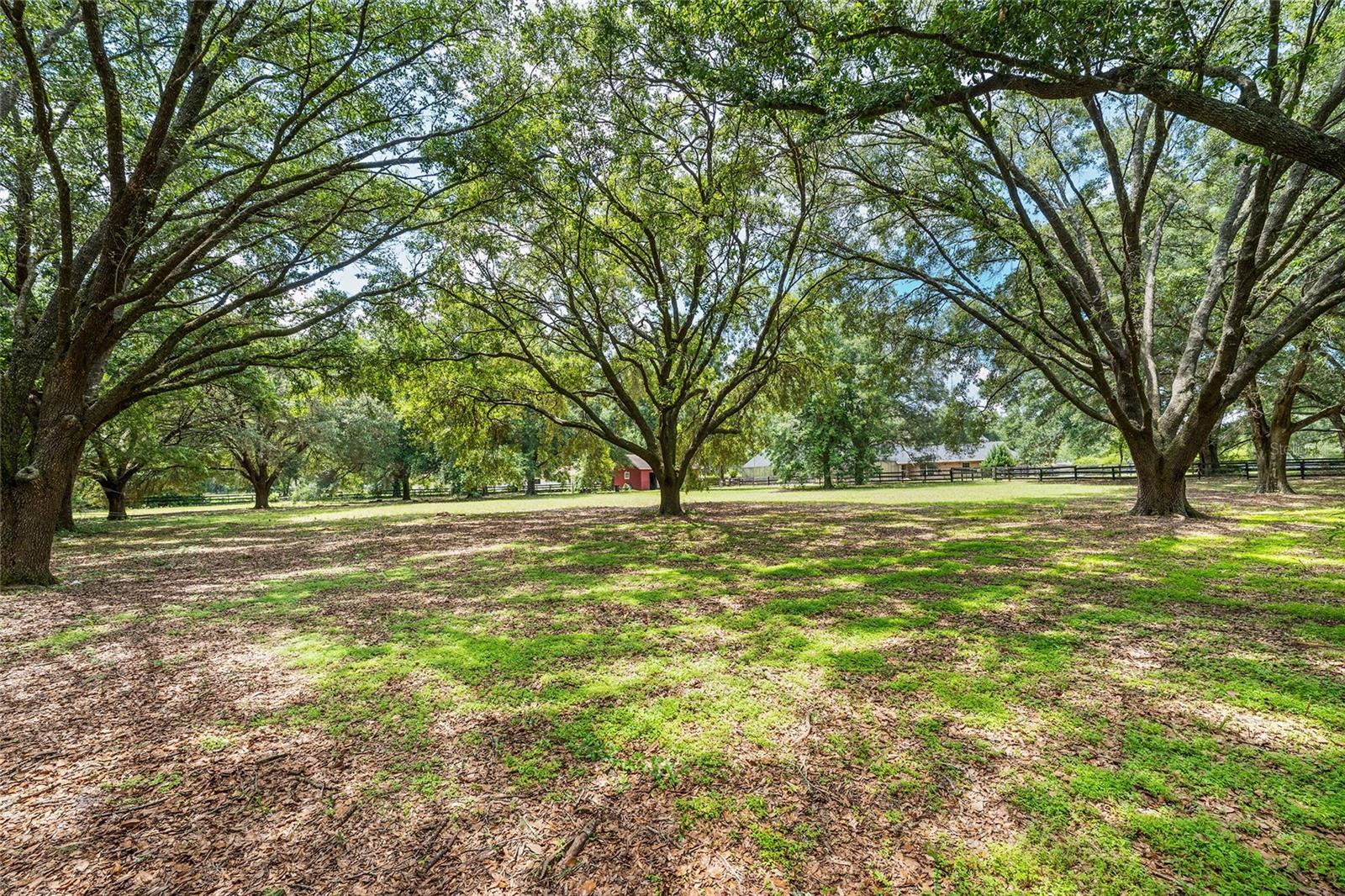COUNTRYSIDE FARMS/OCALA - Residential