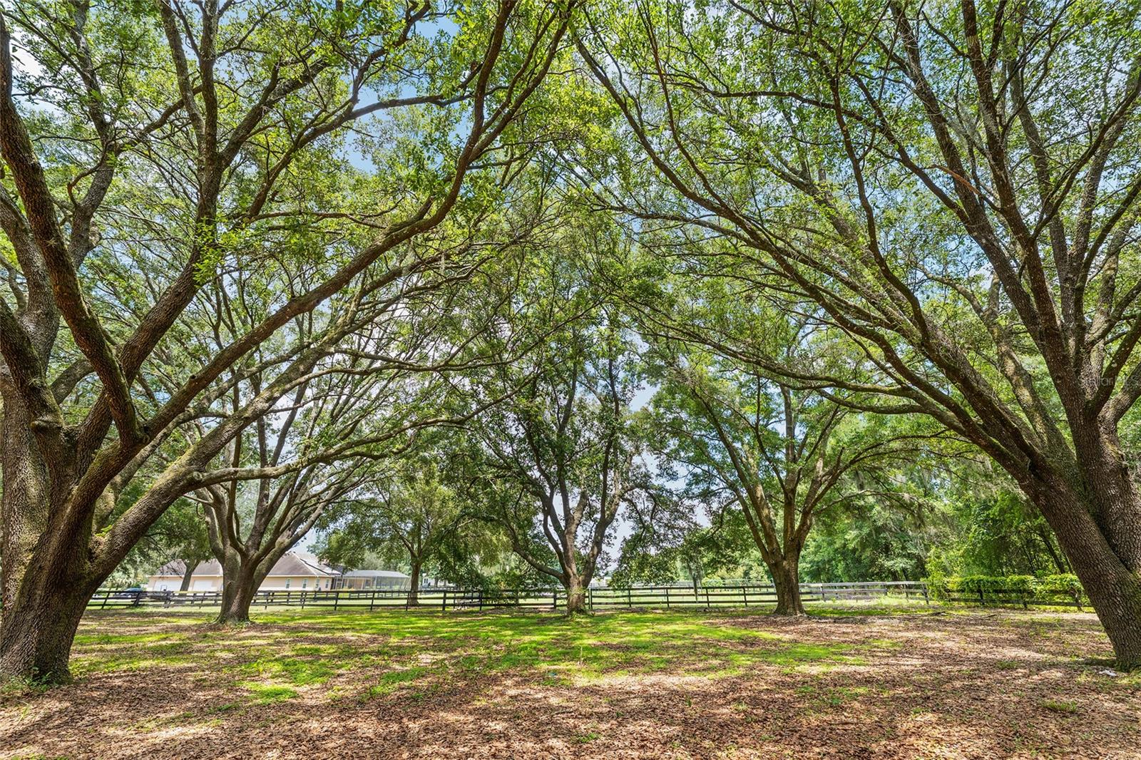 COUNTRYSIDE FARMS/OCALA - Residential