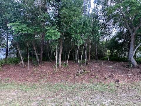DELTONA LAKES UNIT 38 - Land