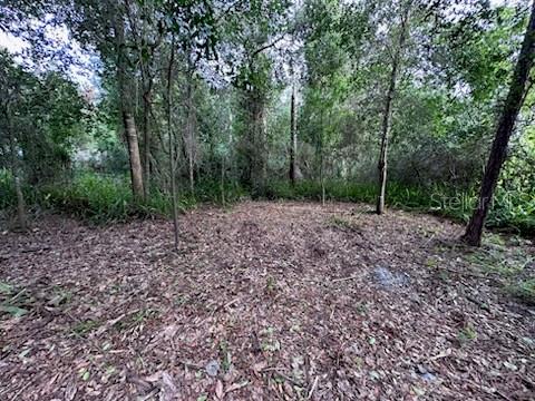 DELTONA LAKES UNIT 38 - Land
