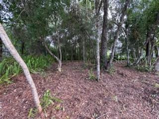 DELTONA LAKES UNIT 38 - Land