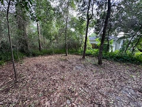 DELTONA LAKES UNIT 38 - Land