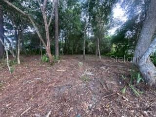 DELTONA LAKES UNIT 38 - Land