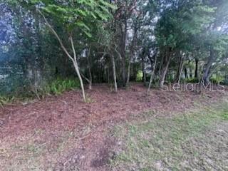 Discover the perfect opportunity to build your dream home on this beautiful wooded homesite.