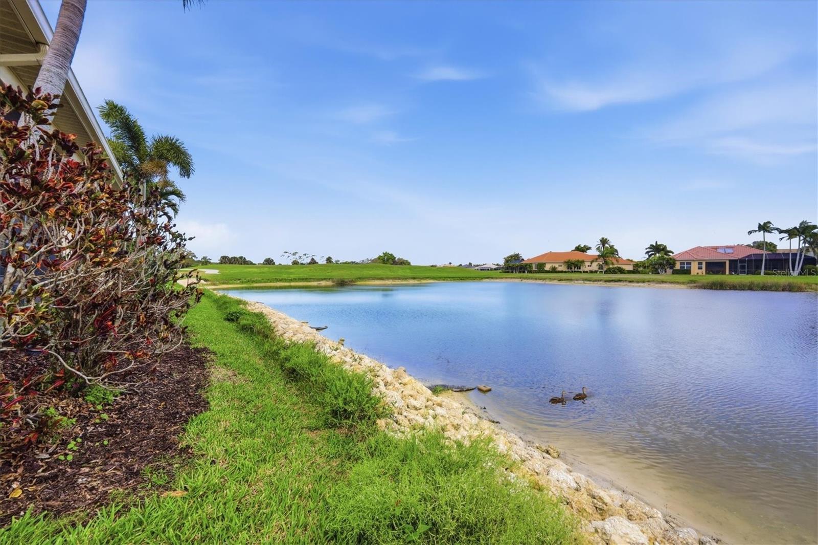 PELICAN POINTE GOLF & CNTRY CL - Residential