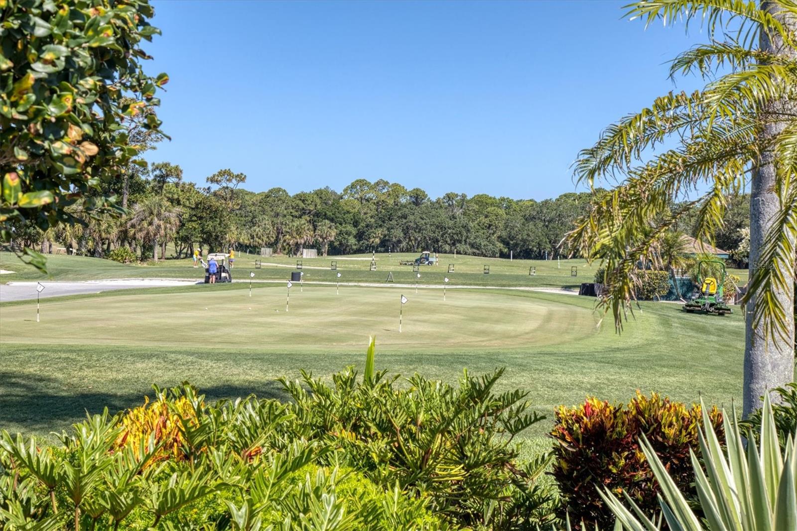 PELICAN POINTE GOLF & CNTRY CL - Residential