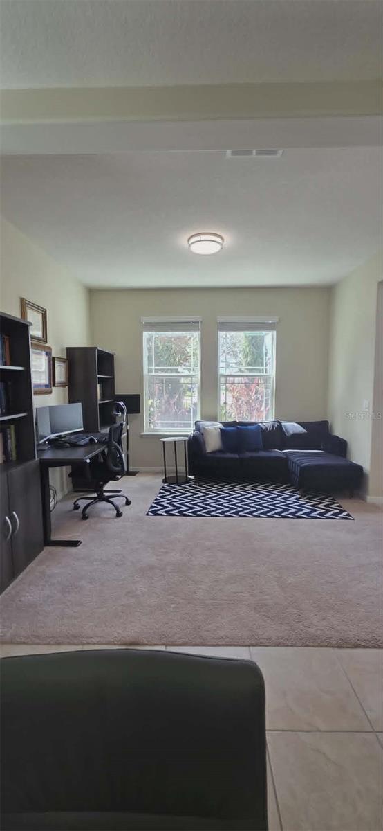 MILLENNIA PARK PH 2 - Residential