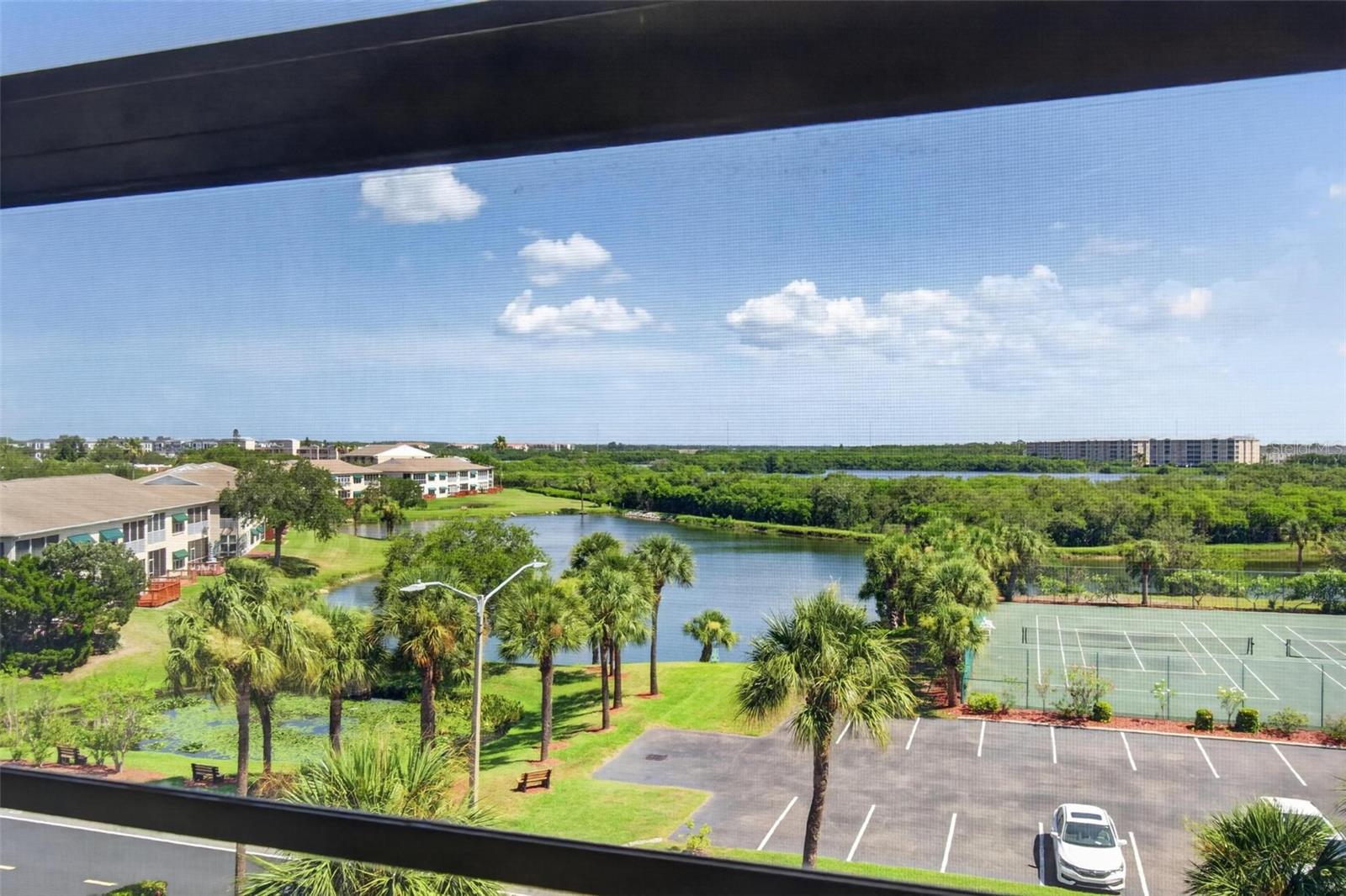 THE PALMS OF LONG BAYOU - Residential