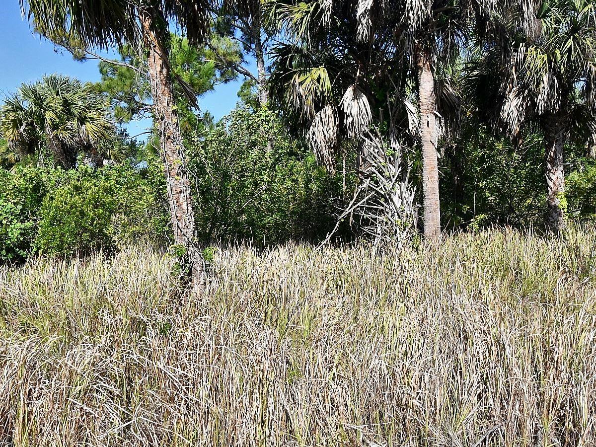 PORT CHARLOTTE SUB 25 - Land