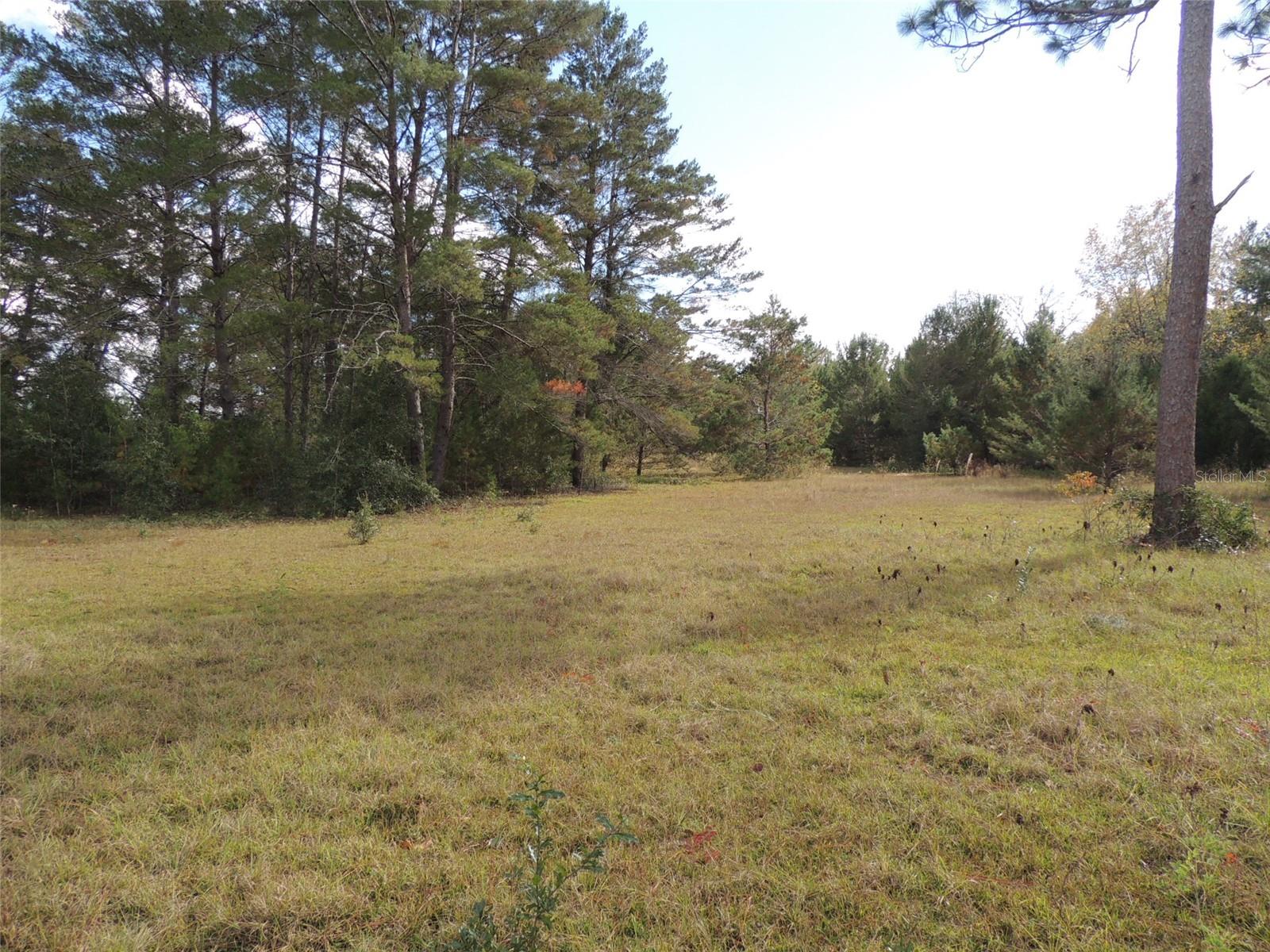 THE FARMS AT WILLISTON INC - Land