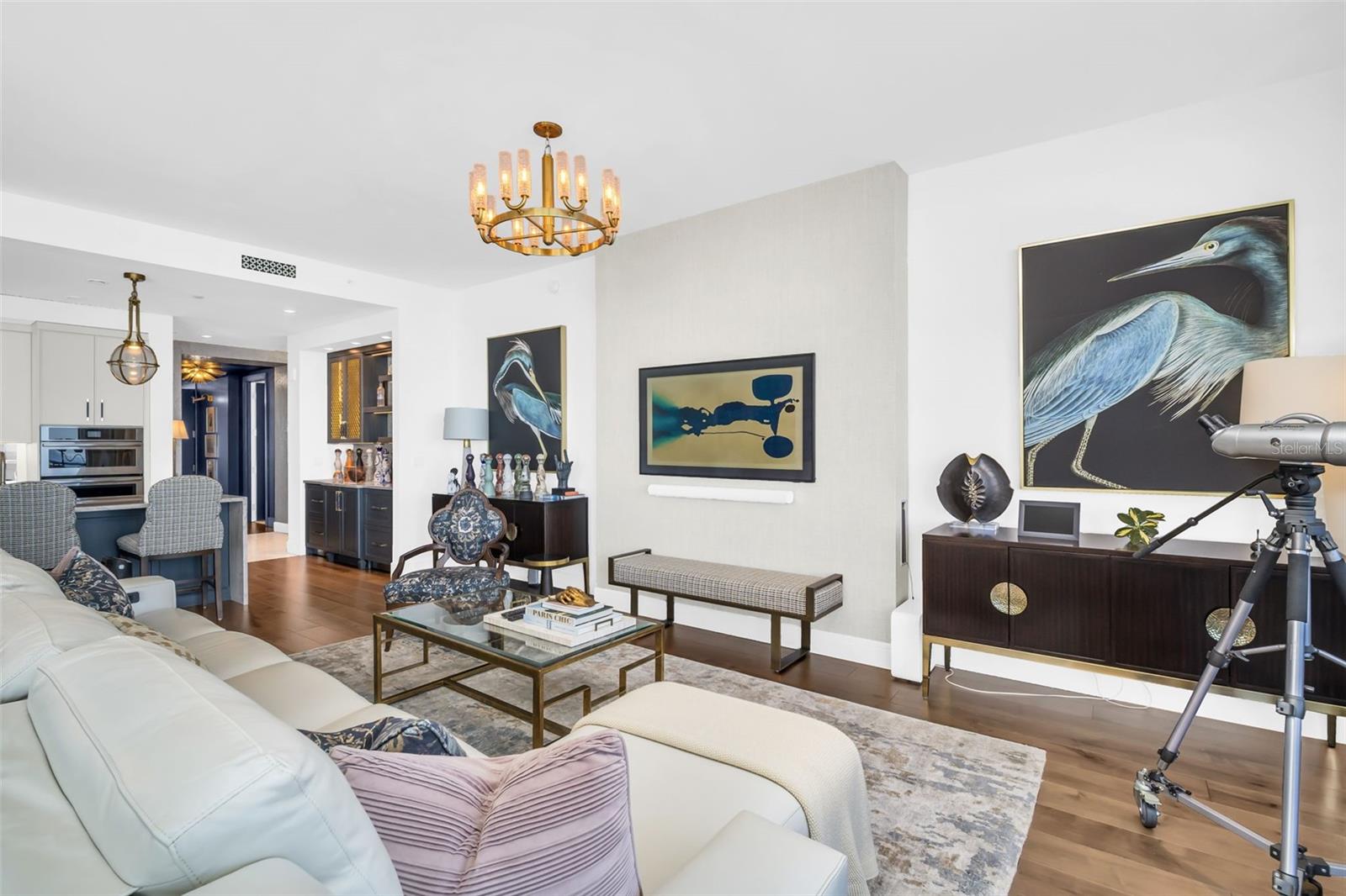 ONE ST PETERSBURG CONDO - Residential