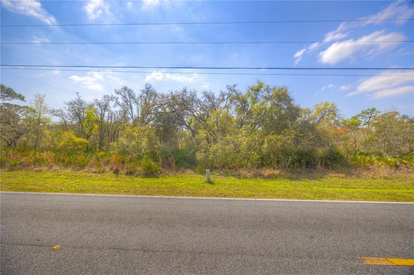 RIDGE MANOR ESTATE - Land