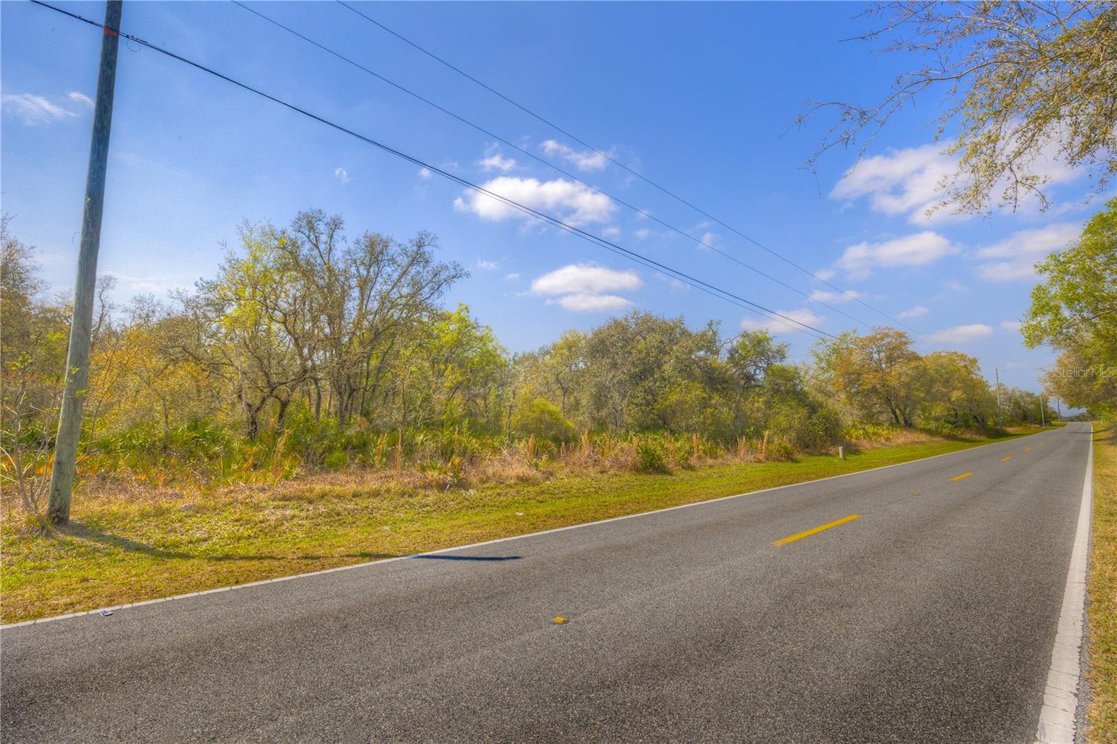RIDGE MANOR ESTATE - Land