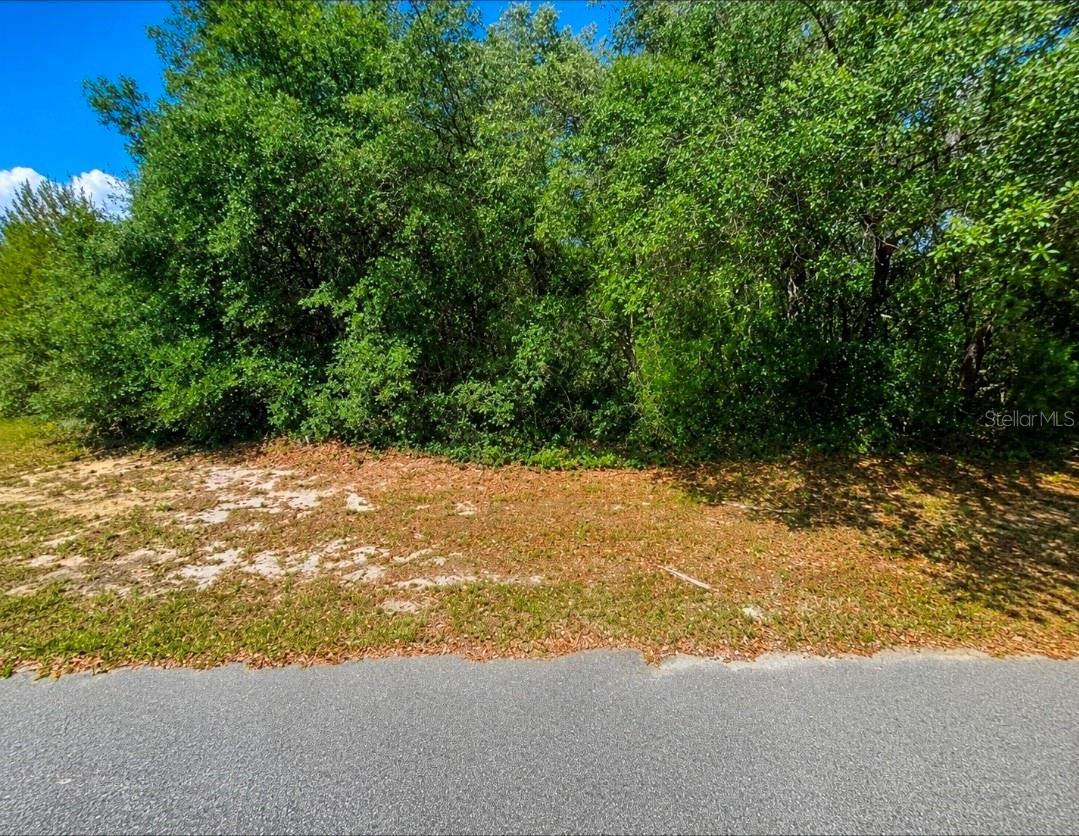 Exceptional Commercial Development Opportunity! This oversized 0.38-acre commercial parcel is ideally located in the rapidly growing Marion Oaks area of Ocala. Offering outstanding potential for a wide variety of commercial uses, this property is perfectly positioned for investors, developers, or business owners looking to capitalize on the area's continued growth. Conveniently located near established residential communities, schools, shopping, and major roadways, this parcel provides excellent accessibility and long-term investment potential. Don't miss the opportunity to secure commercial land in one of Marion County's fastest-growing markets. Buyer to verify zoning, permitted uses, utilities, and all development requirements with Marion County.