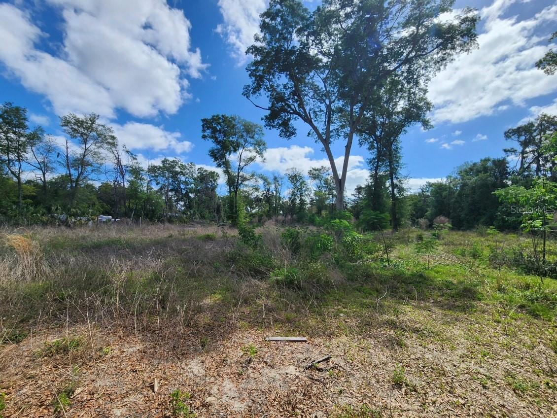 DES PINAR ACRES - Land