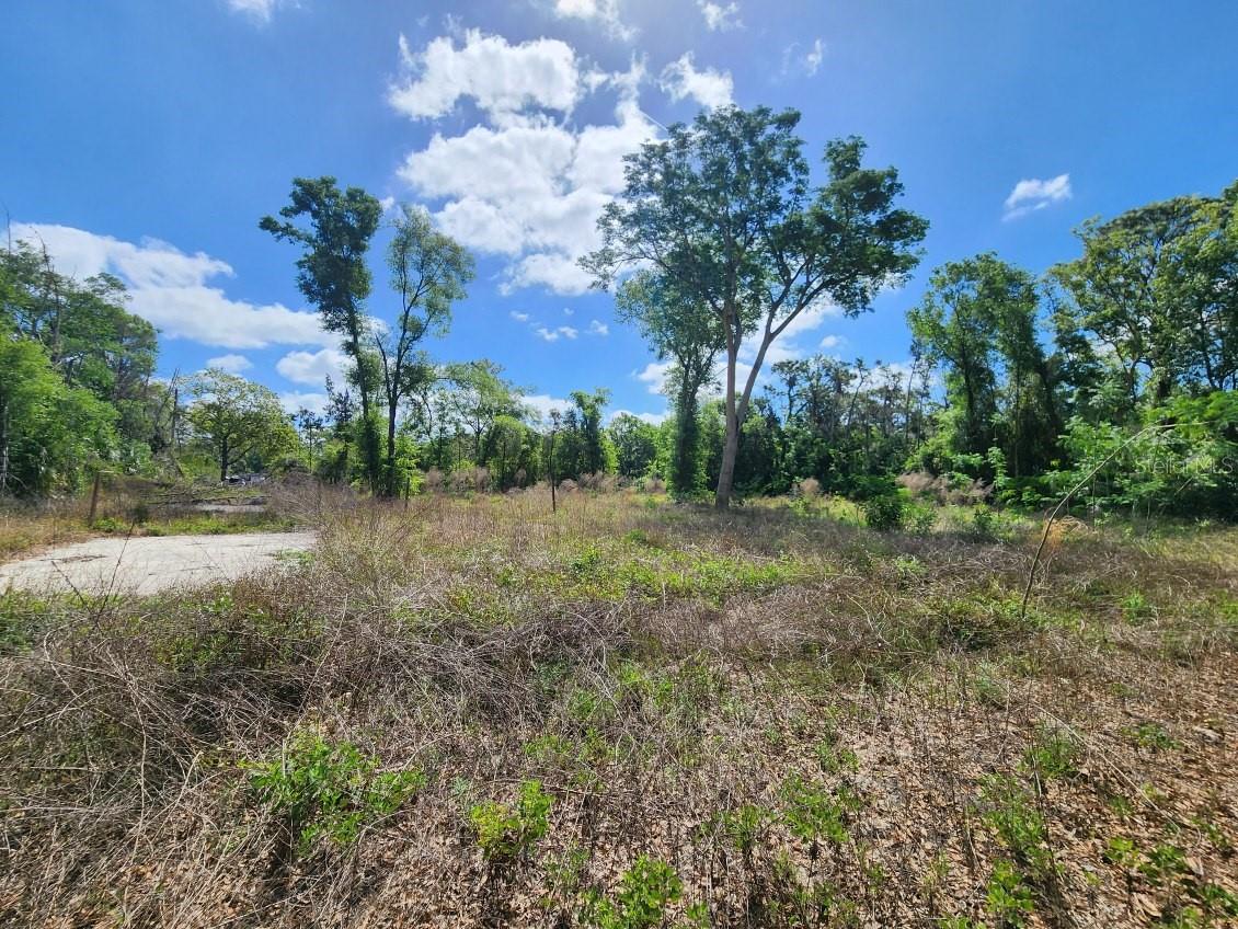 DES PINAR ACRES - Land