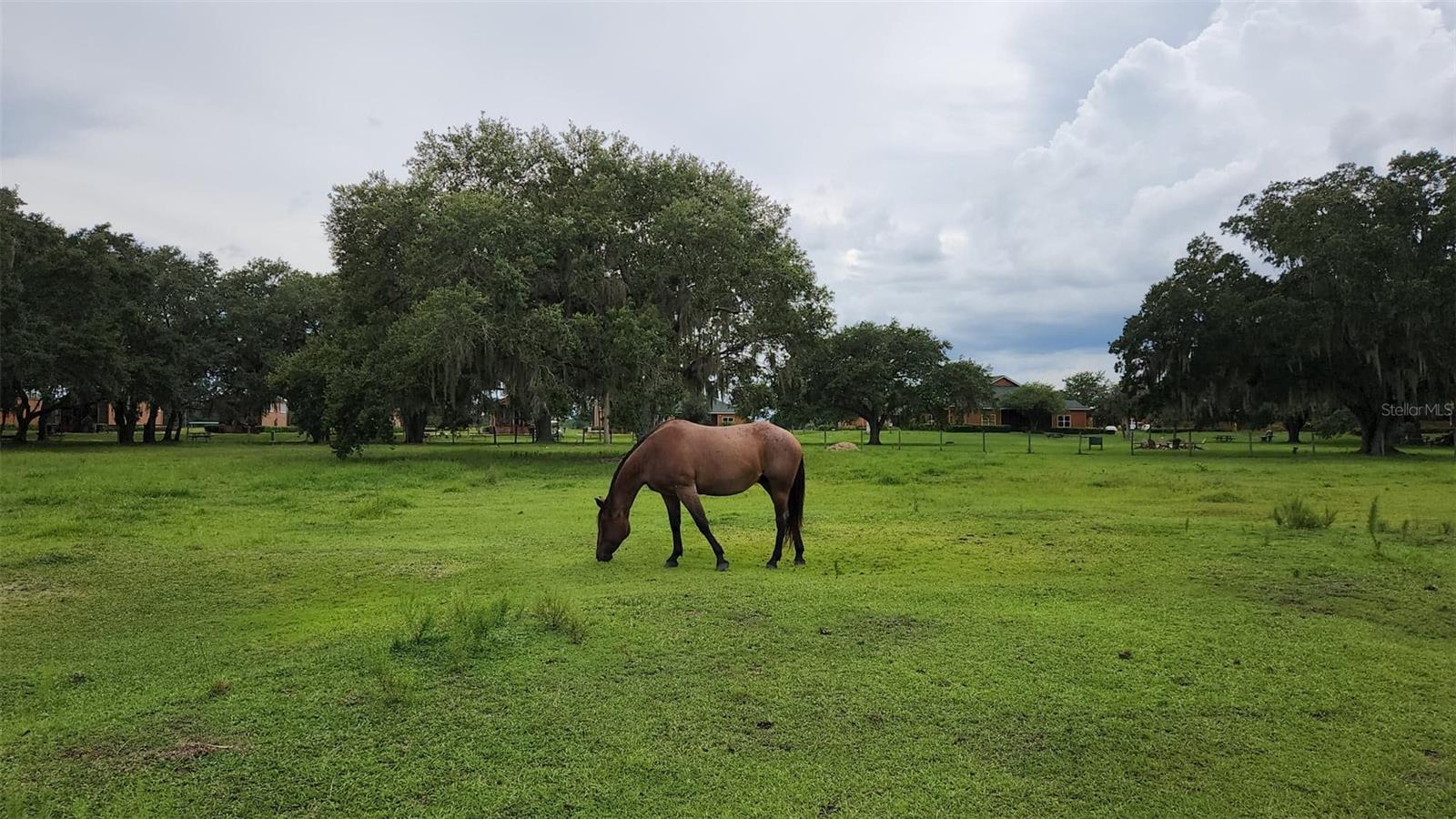OUTDOOR RESORTS RIVER RANCH RV RESORT PH 02 - Land