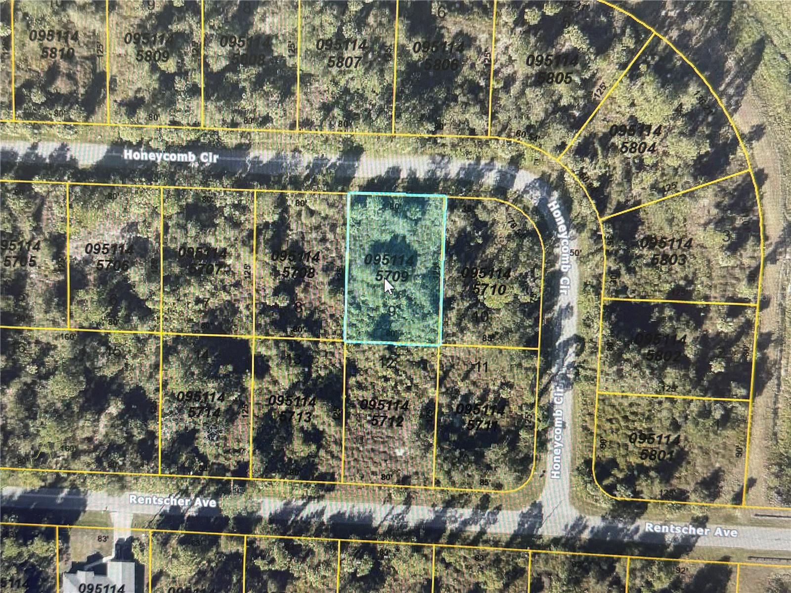 Build your dream home in North Port. Home to Atlanta Braves Spring Training and only minutes from the North Port Aquatic Center, there are beaches within a short drive, but this location offers a peaceful break from the city life. Nestled amongst the wooded lots on the circular Honeycomb, this is a peaceful piece of paradise that is primed to be your creative canvas, a luscious landscape for your forever home.