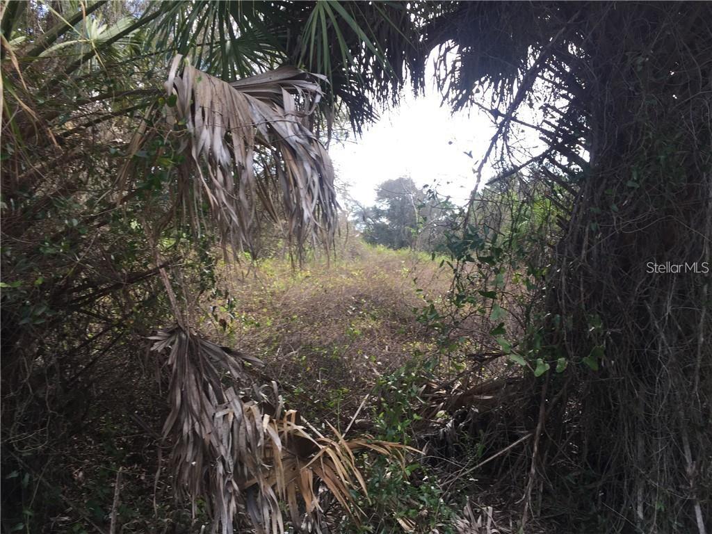 PORT CHARLOTTE SUB 30 - Land