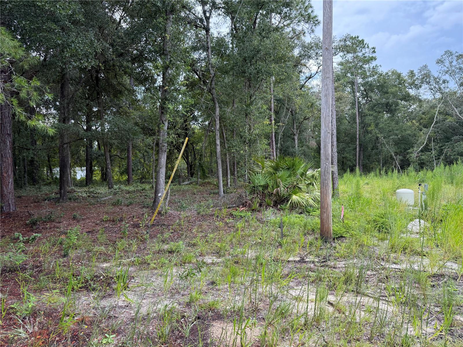 INTERLACHEN LAKES ESTATES - Land
