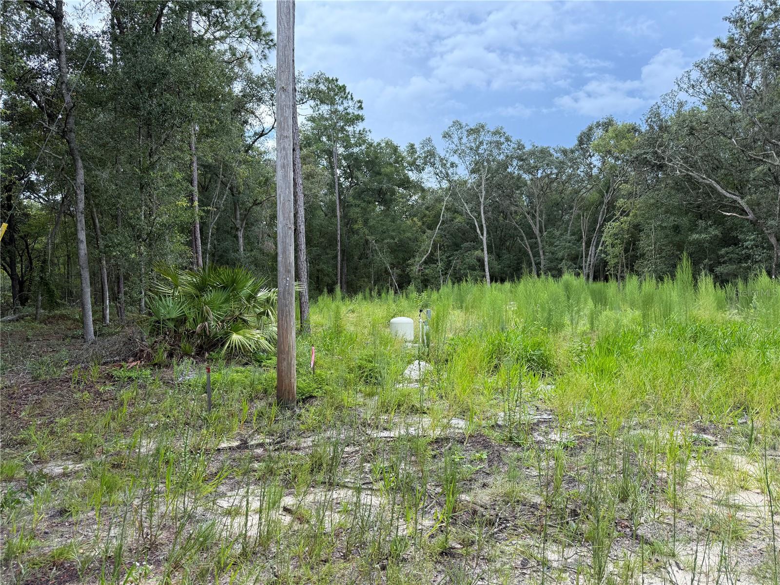 Welcome to 106 Jackson Avenue in scenic Interlachen, Florida—a ready-to-go property that makes building your dream home or weekend retreat easier than ever! This improved vacant lot comes with a brand-new well and septic system already installed, both never used, giving you a major head start and saving you thousands in upfront costs. The lot has also been fully cleared, making it truly build-ready from day one. Whether you’re planning to bring in a manufactured home or design a custom site-built home, this property offers you the flexibility to create exactly what you want in a peaceful, natural setting.

Located in an area known for its laid-back charm and endless recreation, this property puts you right in the middle of some of Florida’s most exciting outdoor attractions. Just minutes away, you’ll find Hog Waller ATV & Mud Bog Park, a popular destination for off-road enthusiasts where you can enjoy weekends of riding ATVs, UTVs, and dirt bikes, or even camp under the stars. For a local favorite bite, head over to the Hog Wild Café on Hwy 310, a go-to spot for hearty Southern cooking and a friendly atmosphere. Water lovers will fall in love with nearby Salt Springs and Silver Glen Springs, famous for their crystal-clear waters perfect for swimming, kayaking, snorkeling, and fishing. The property also offers easy access to the Ocala National Forest, where you can hike, boat, fish, and explore hundreds of scenic trails surrounded by Florida’s natural beauty. Should you need supplies before any big adventure there is a Publix and Winn Dixie just 20 minutes away in Palatka.

Whether you’re looking to build your forever home, create the perfect weekend getaway, or make a smart investment in a rapidly growing area, 106 Jackson Avenue has it all. With a brand-new well and septic system, power nearby, a fully cleared lot, and zoning that allows both site-built and manufactured homes, this property is a rare find. Don’t miss your chance to own a piece of Florida paradise where outdoor adventure and peaceful living meet—come see it today!