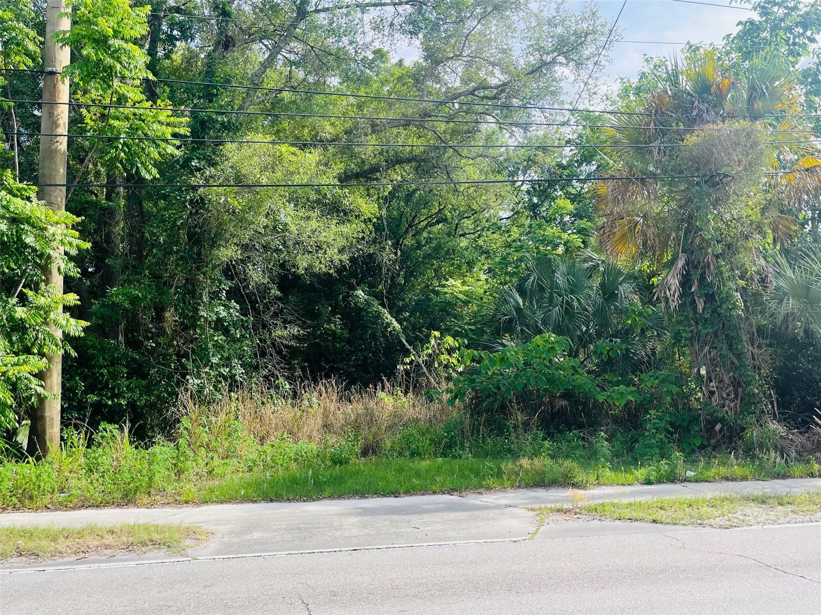 CELERY AVE ADD - Land