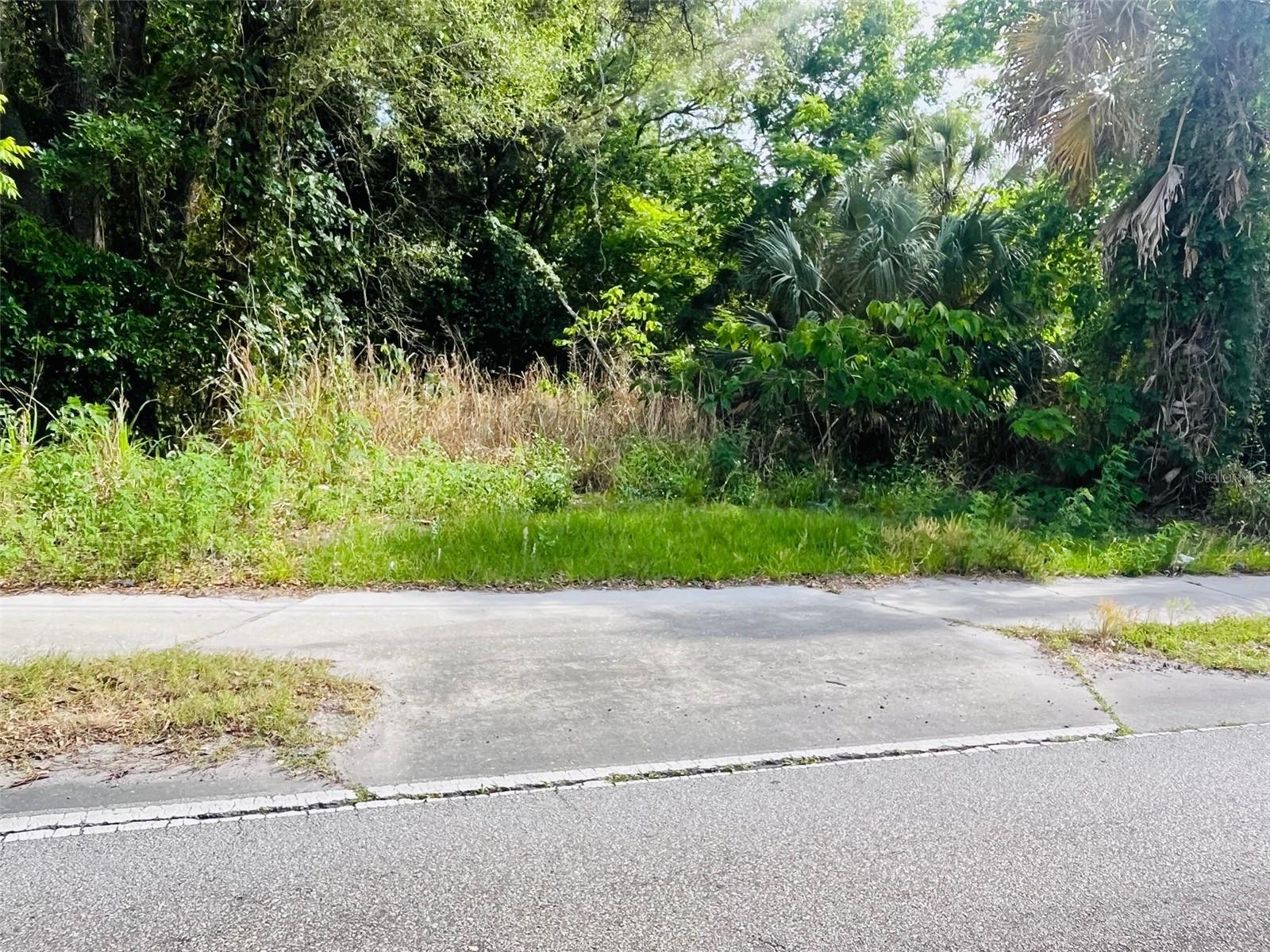 CELERY AVE ADD - Land