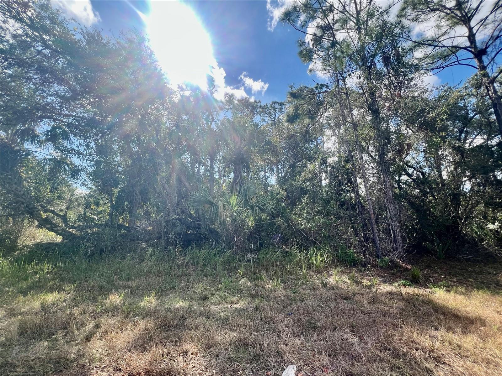 Nice lot located in a quiet area of North Port with newer homes nearby. Adjacent lot is also for sale. This lot offers a fantastic opportunity to build your dream home or invest in a growing community. North Port is known for its beautiful scenery, friendly community, with lots of wildlife, and proximity to the best that southwest Florida has to offer. Do not miss out on this chance to secure a prime piece of real estate!