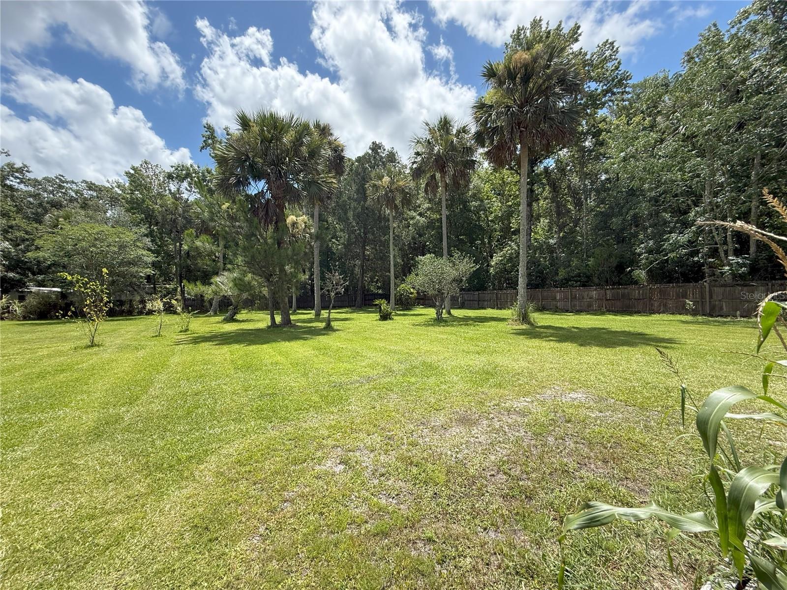 DAYTONA NORTH SUB - Residential