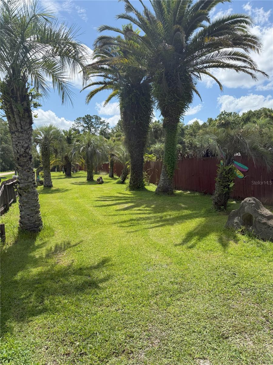 DAYTONA NORTH SUB - Residential