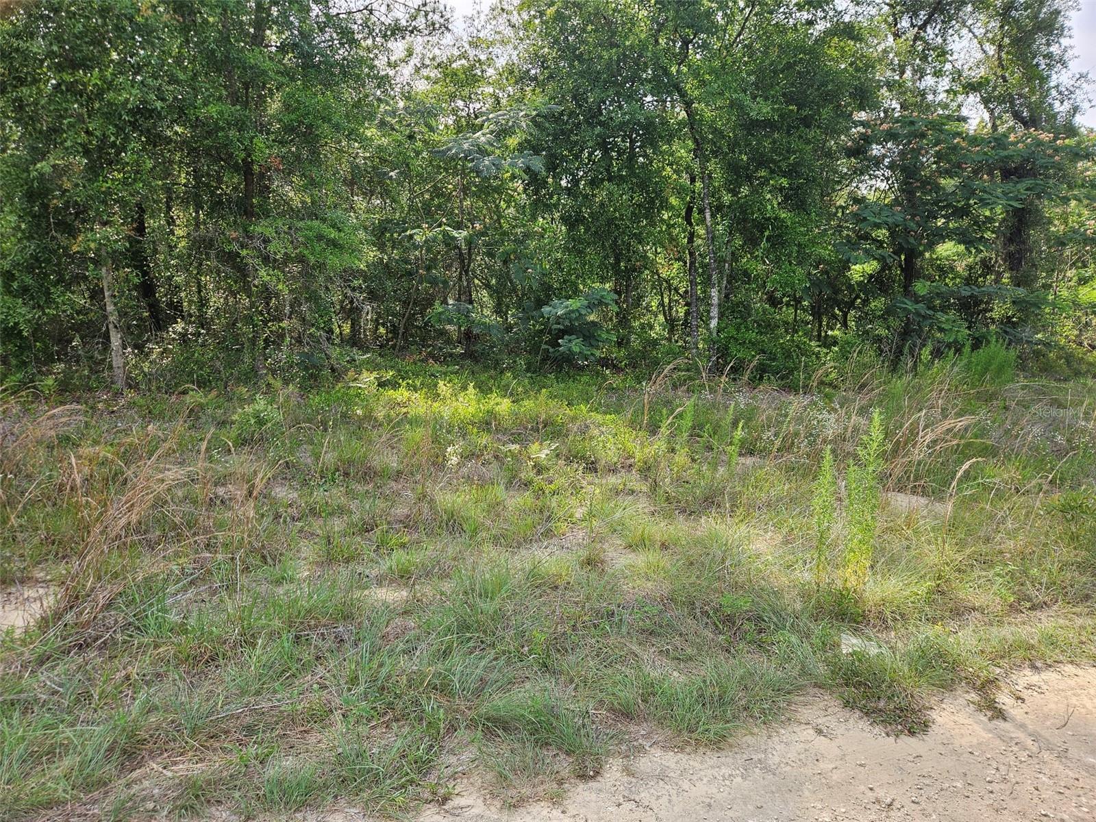 WILLISTON HIGHLANDS GOLF & C CLUB ESTATES - Land