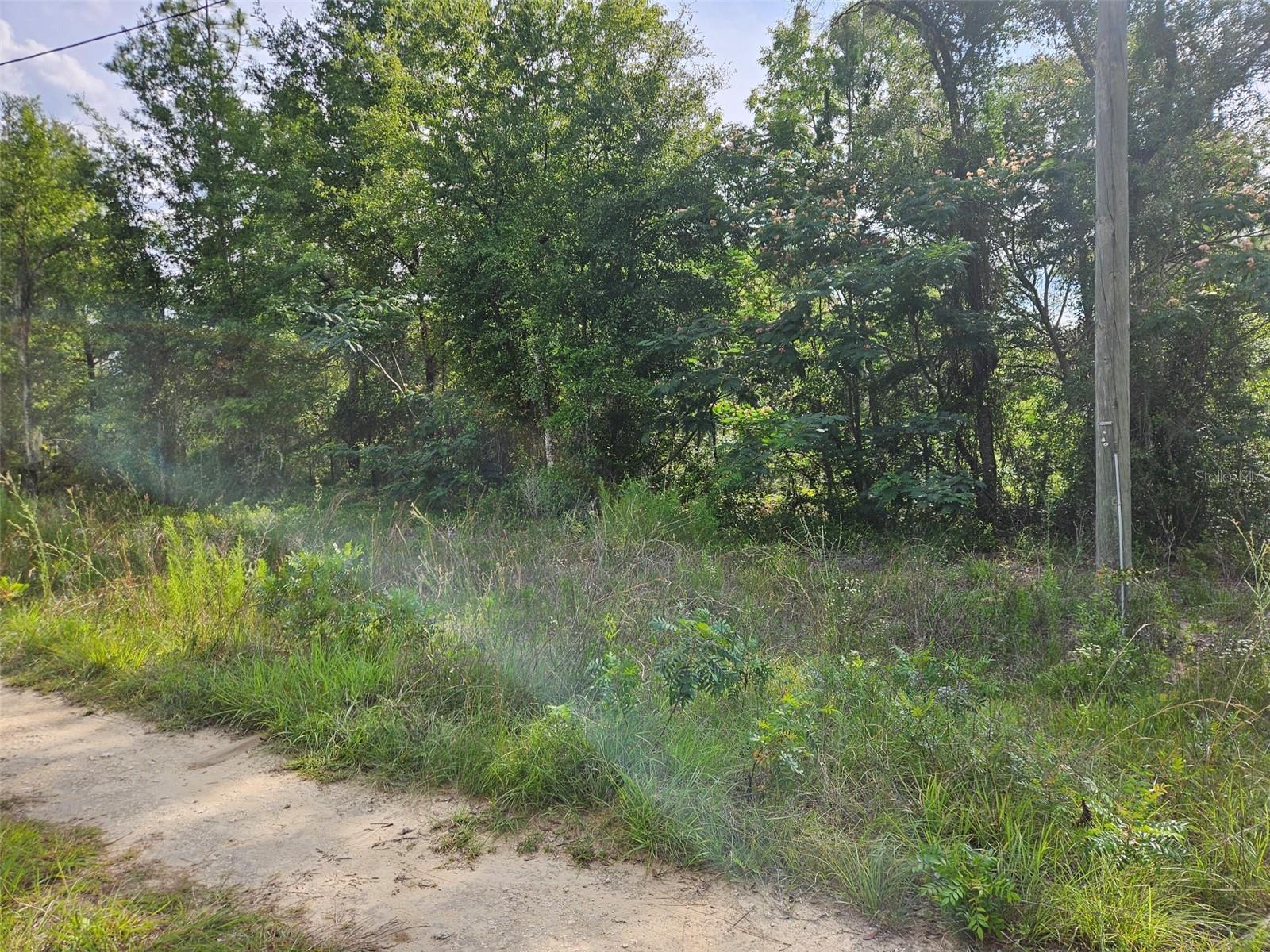 WILLISTON HIGHLANDS GOLF & COUNTRY CLUB ESTATES BUILDING LOT. Beautiful 0.23 acre residential lot in the quiet Williston Highlands—just 5 miles from the City of Williston. This peaceful rural setting offers the perfect blend of privacy and convenience, surrounded by open skies, scattered homesites, and Florida’s natural beauty. Williston is known as the “Gateway to the Nature Coast,” with world-class springs, trails, and the Gulf of Mexico all within easy reach. Build your future home or invest in a growing area close to Devil’s Den, Blue Grotto, Rainbow Springs, and charming Cedar Key. Enjoy country living with quick access to Gainesville, Ocala, and everyday amenities. A great opportunity to own land in one of Levy County’s most desirable rural communities. Adjacent lot also available from the same owner.