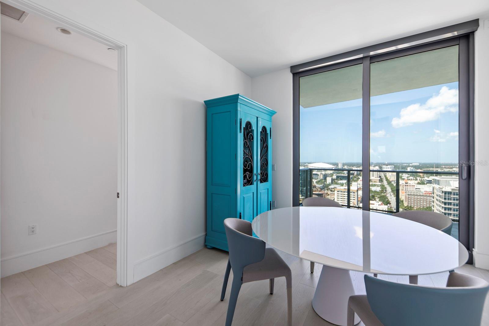 ONE ST PETERSBURG CONDO - Residential