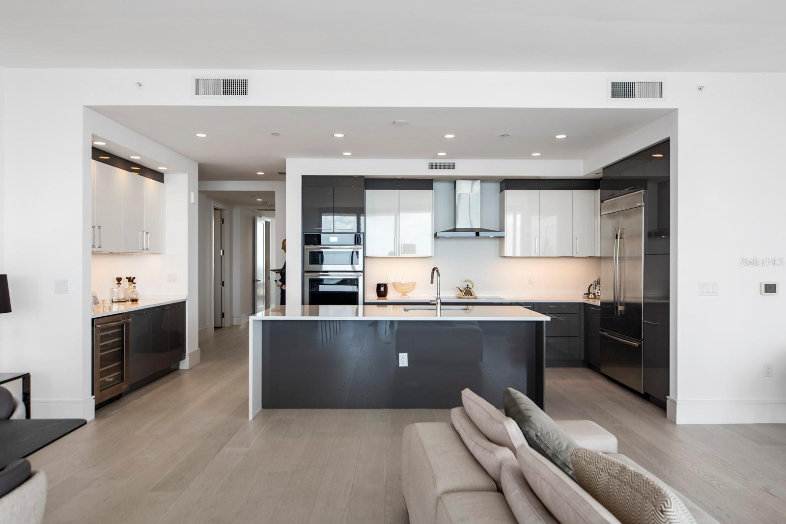 ONE ST PETERSBURG CONDO - Residential