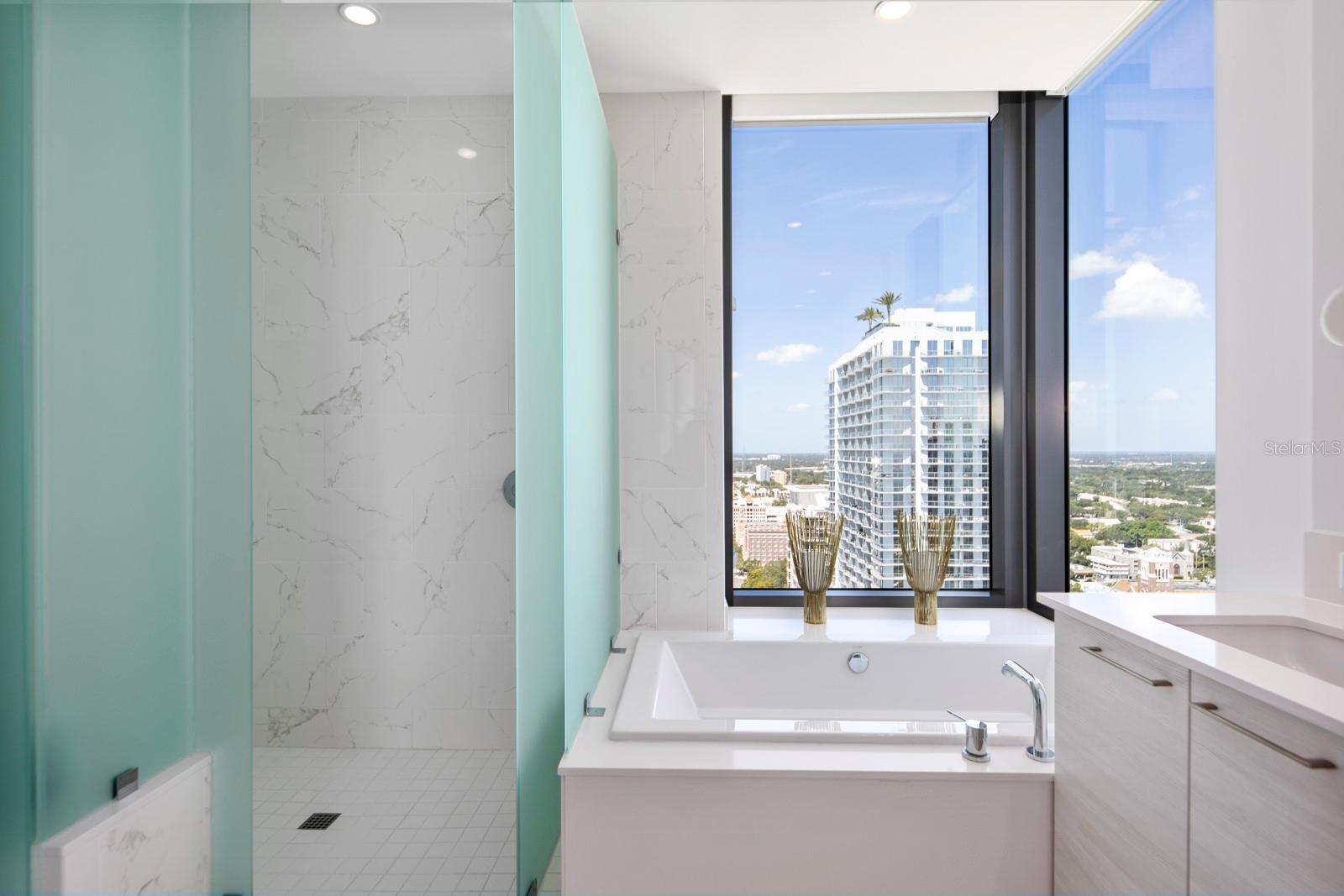 ONE ST PETERSBURG CONDO - Residential