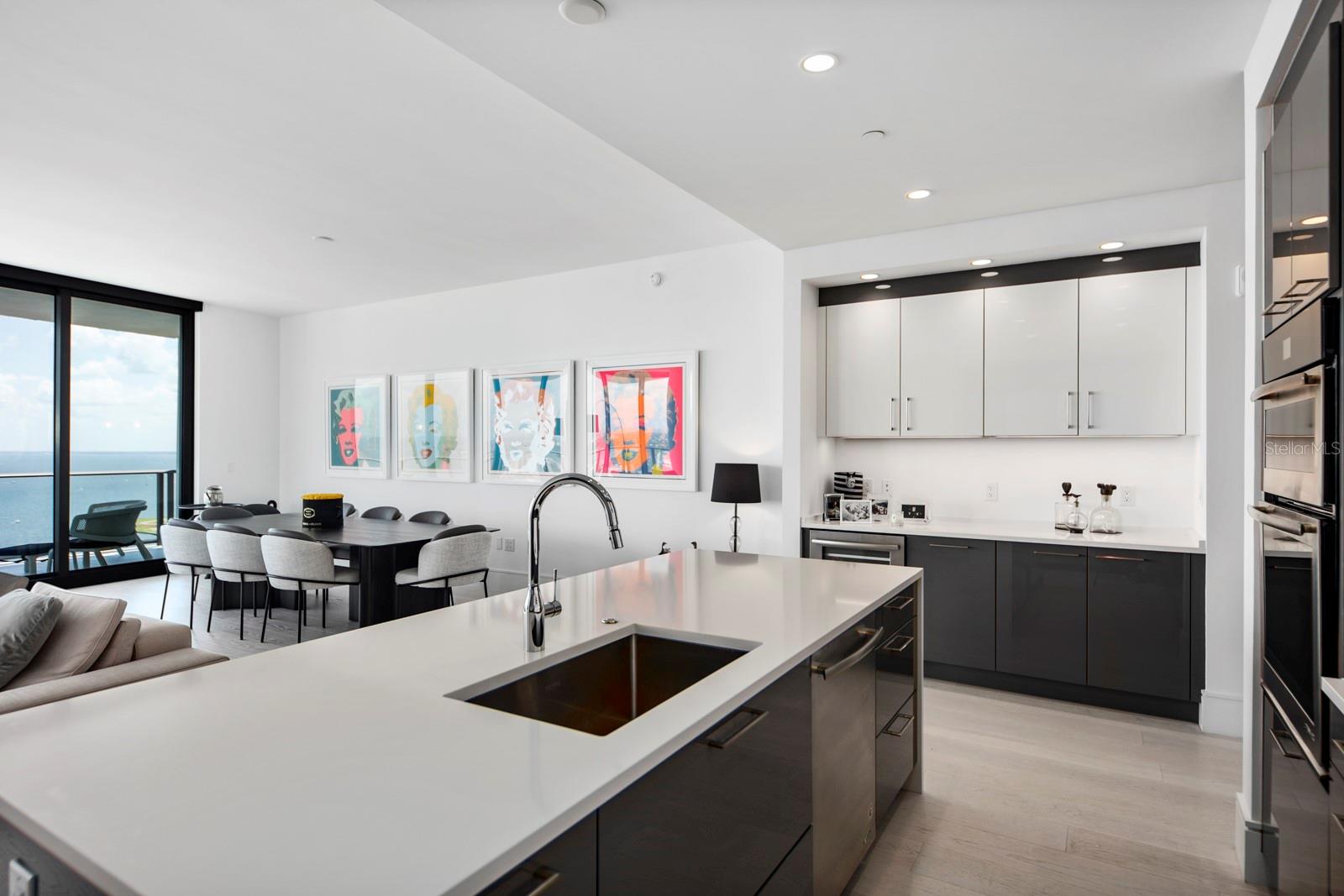 ONE ST PETERSBURG CONDO - Residential