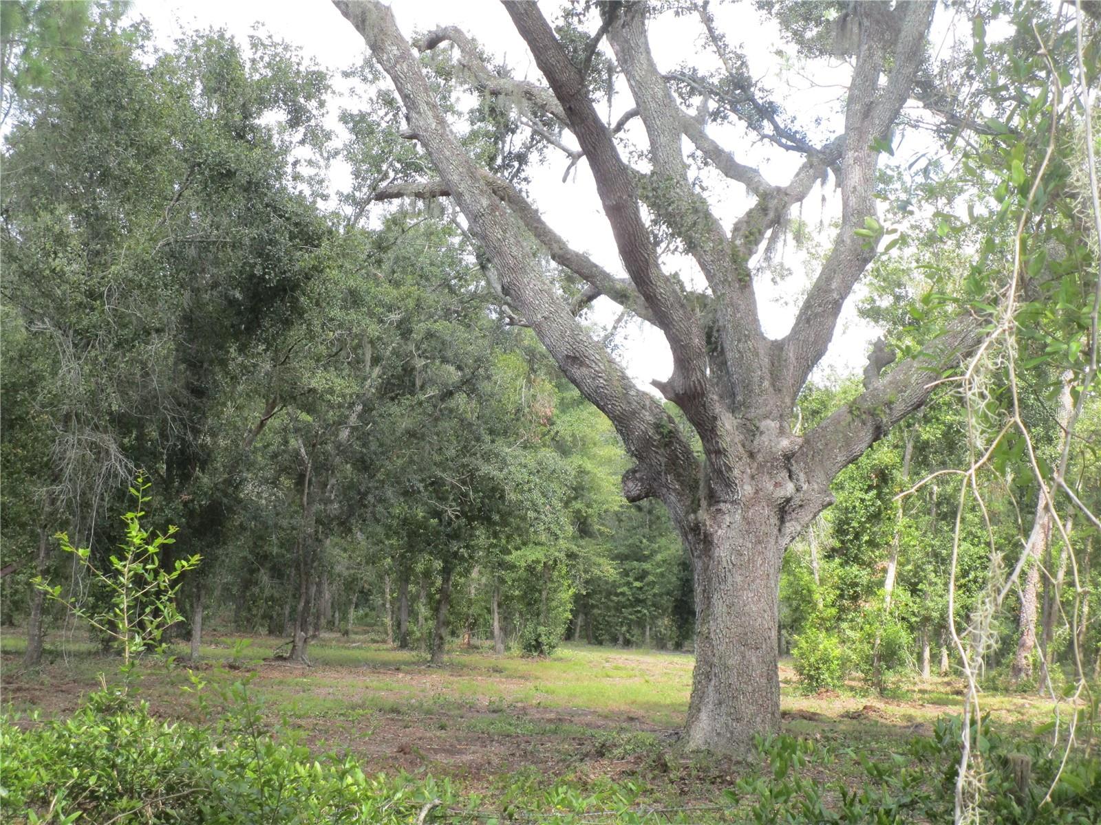 OAKFIELD ESTATES - Land