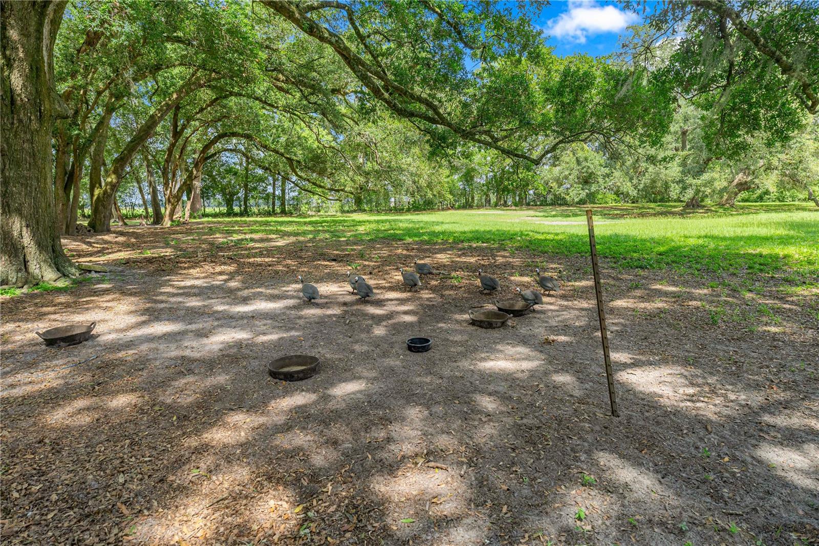 34-10-15 0012.50 ACRES W1/2 OF EAST 828 FT OF SW1/ - Residential