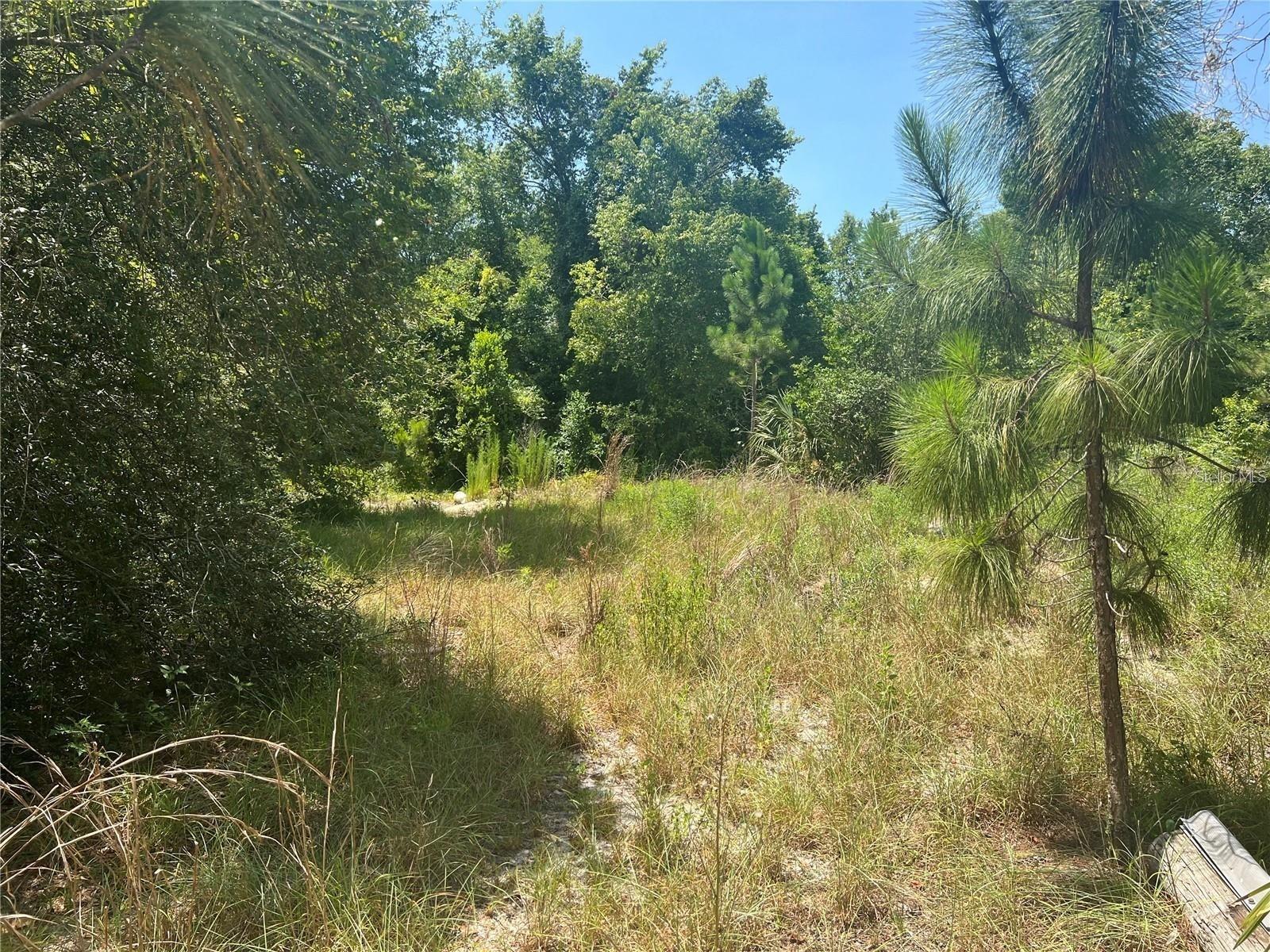 The subject property is a vacant lot just over a quarter acre of land. According to the owner there use to be a manufactured home on the lot that has been removed.