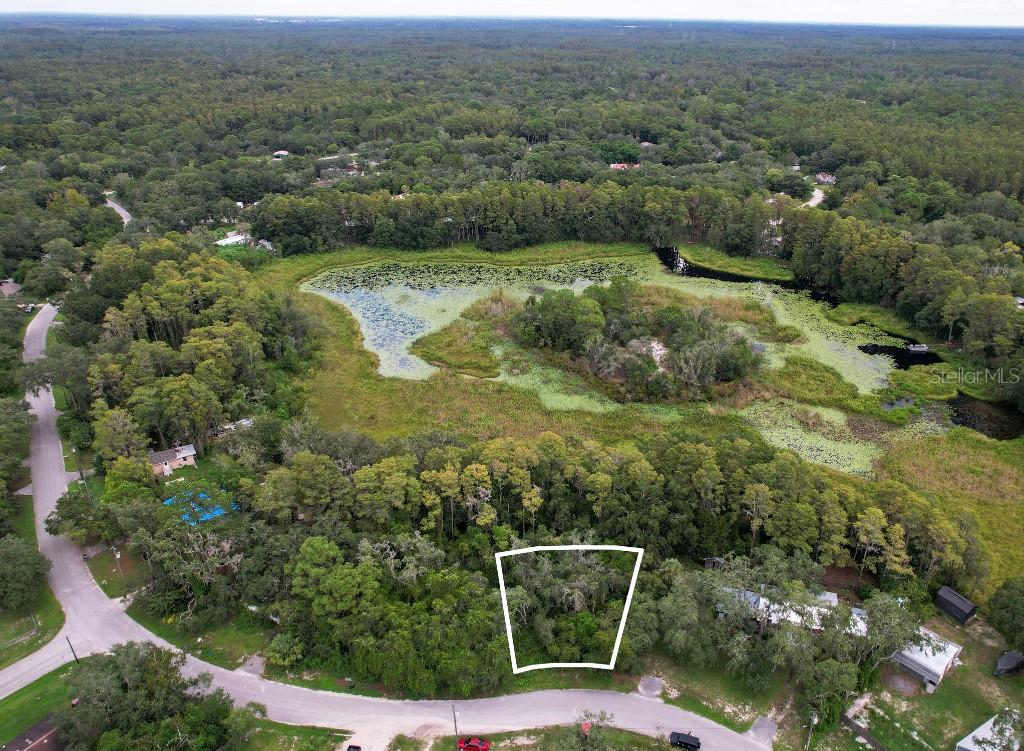Lakefront 7,700 sq ft buildable lot in the Moon Lake Estates. No HOA fees or restrictions- making it suitable for a single-family home, mobile, or a manufactured home. Wetland survey is available upon request. This wooded lot has an existing septic tank and power nearby. 

Looking for more space? The adjacent 11,562 sq ft parcel is also available, providing an incredible package deal for those seeking expansive property options. This is a fantastic investment opportunity!

Just a mile to Moon Lake Park, one of Pasco County's largest lakes, where you can indulge in fishing, swimming, and boating. With numerous picnic and play areas, this community is perfect for outdoor recreation. The Ridge Road extension and Suncoast Expressway are easily accessible, ensuring a quick drive to Tampa. This beautiful spot makes it the ideal location for your next chapter.