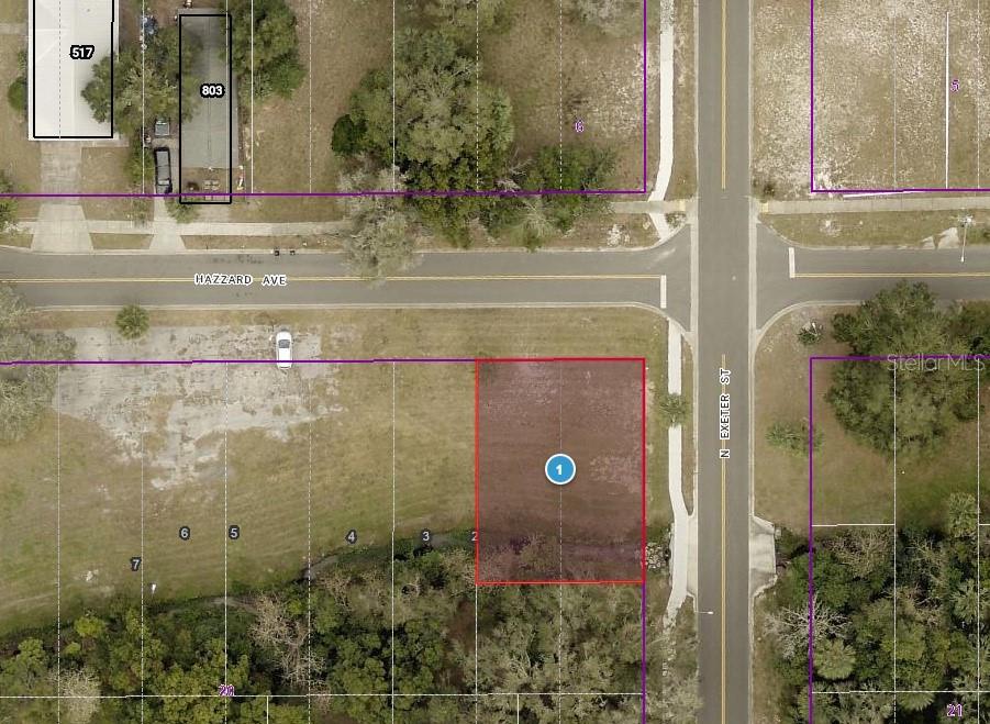 Inexpensive lot in great neighborhood. Buy for investment, home or rental property. Walking distance to public transportation, schools, parks and all of the great restaurants in downtown Eustis. First Friday Festival on the first Friday of every month in downtown Eustis. Georgefest held every February to celebrate George Washington's birthday is the longest running event in the nation of its kind. Short drive to Mt Dora and Wekiva Parkway/SR429 for all things Orlando.
