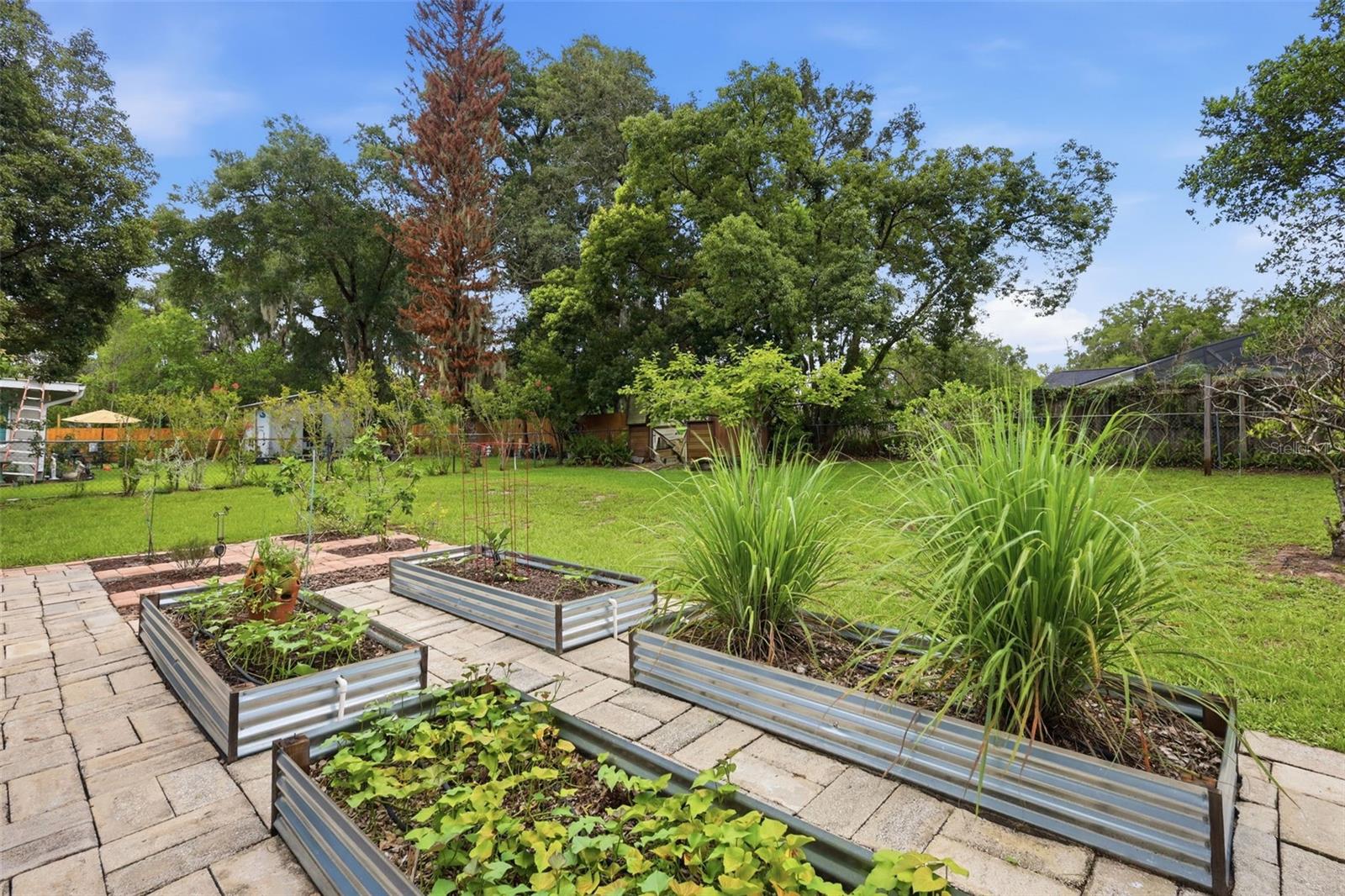 LIVE OAK PARK - Residential