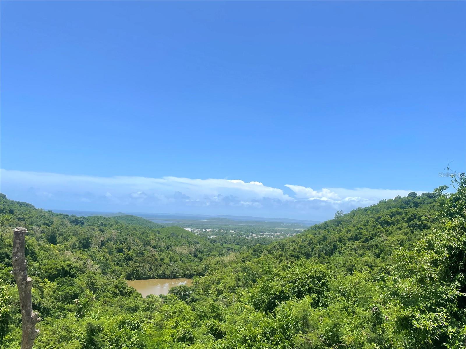 Presenting an extraordinary 100-acre development opportunity in Ceiba, one of Puerto Rico’s fastest-growing and most strategically positioned regions on the island’s sought-after eastern coast. Ideally located near PR-53 (José Celso Barbosa Expressway) and fronting Road 981, this remarkable property offers developers a rare combination of accessibility, natural beauty, and scale that is increasingly difficult to find.

The property showcases an exceptional and highly versatile topography, featuring expansive flat areas suitable for efficient development, a picturesque man-made lake, mature forested sections with majestic trees, and elevated terrain commanding breathtaking panoramic views. From various vantage points throughout the property, residents could enjoy sweeping vistas of the Atlantic Ocean, the mountains of eastern Puerto Rico, El Yunque National Forest, Vieques, Culebra, and the iconic former naval base of Roosevelt Roads.

The site's diverse landscape creates a unique opportunity to design a master-planned community with multiple residential clusters and lifestyle offerings. Potential concepts include lakefront residences overlooking the water, premium hilltop homesites capturing spectacular ocean and mountain views, and more affordable residential neighborhoods nestled within the property's lower elevations and natural forest surroundings. The setting lends itself perfectly to an eco-conscious development that embraces nature while providing residents with privacy, tranquility, and an unparalleled connection to the environment.

Adding significant value to this offering, a formal pre-consultation process was conducted in the past, with indications supporting the potential development of approximately 300 residential units, subject to all required governmental approvals, permits, and due diligence by the purchaser.

Ceiba continues to emerge as one of Puerto Rico's most attractive growth markets, benefiting from its proximity to major recreational, tourism, and transportation assets. The property is located minutes from world-class marinas, the unparalleled natural beauty of El Yunque National Forest, and Roosevelt Roads, now undergoing significant redevelopment and serving as the primary gateway to the sister islands of Vieques and Culebra through ferry and marine transportation services.

Large-scale tracts offering this combination of size, natural features, development potential, accessibility, and world-class views are becoming increasingly rare. Whether envisioned as a master-planned residential community, eco-resort destination, wellness retreat, mixed-use project, or a combination thereof, this property represents a unique opportunity to create a landmark development in one of Puerto Rico's most promising regions.

An exceptional canvas for visionary developers seeking scale, beauty, and long-term value. Private tours, maps, and due diligence materials available upon request. Zoning: IL, CR, ARD. Tax incentives may apply. Please call for a private appointment.