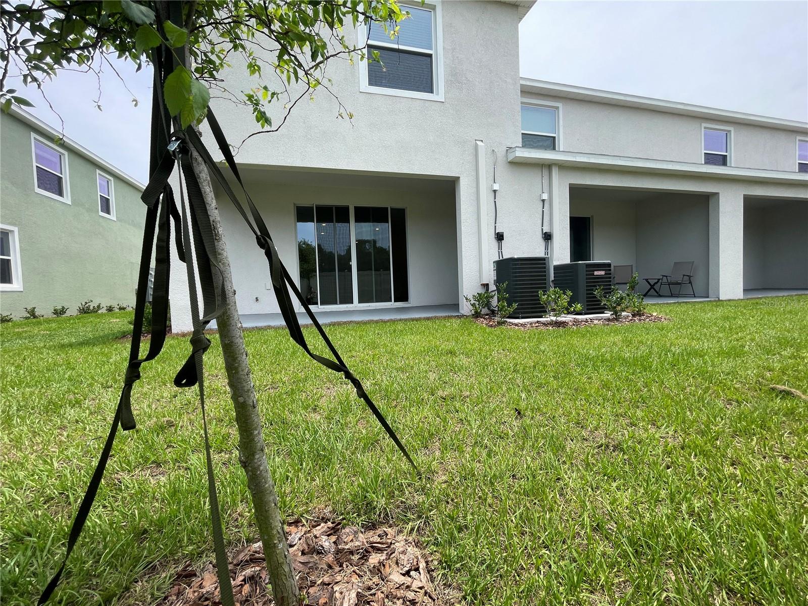 ANGELINE - Residential Lease