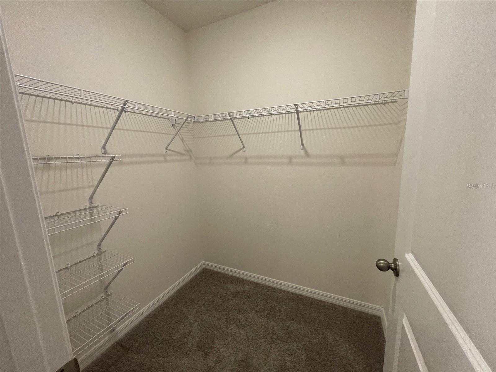 ANGELINE - Residential Lease