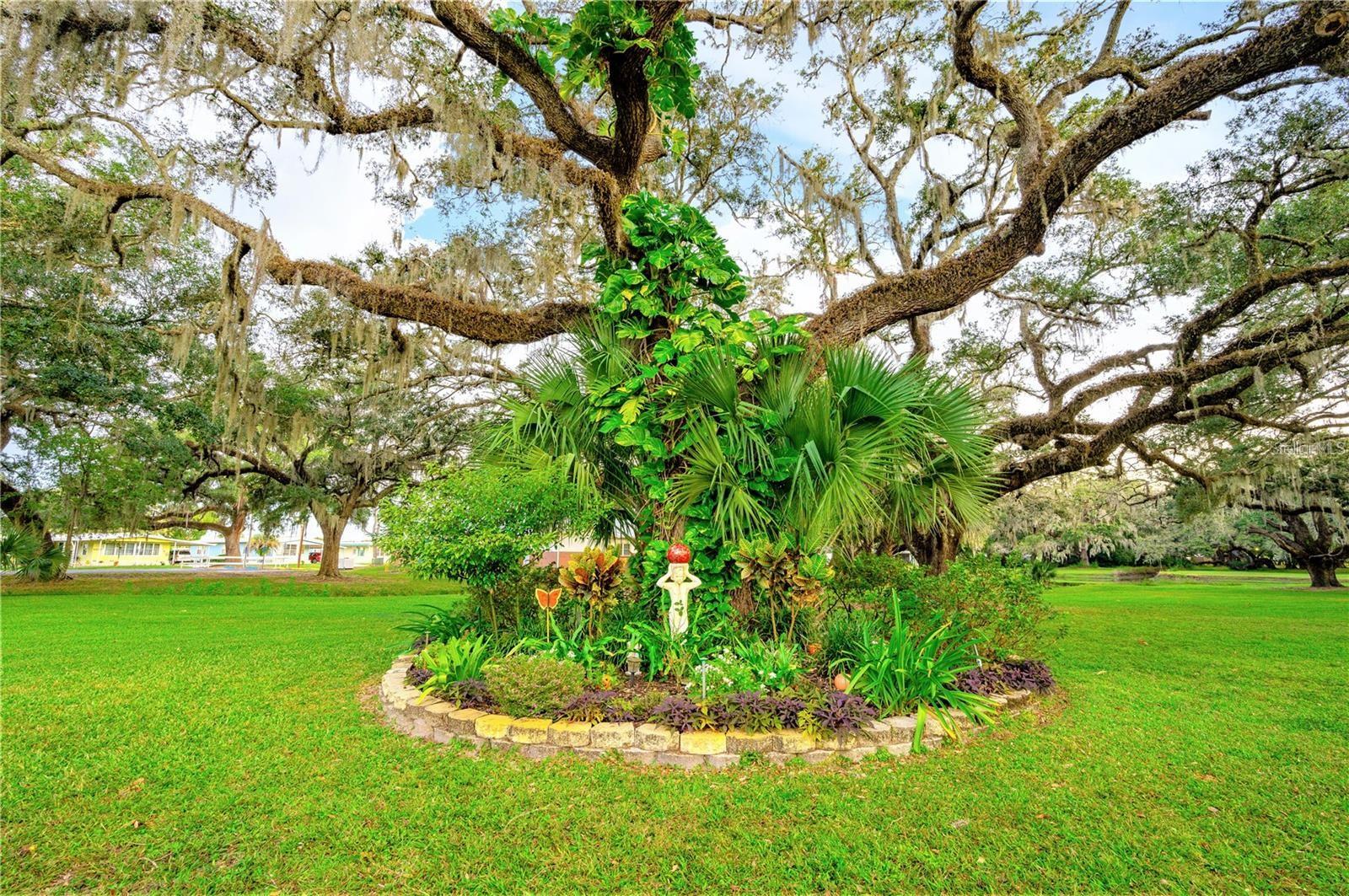BETMAR ACRES - Residential