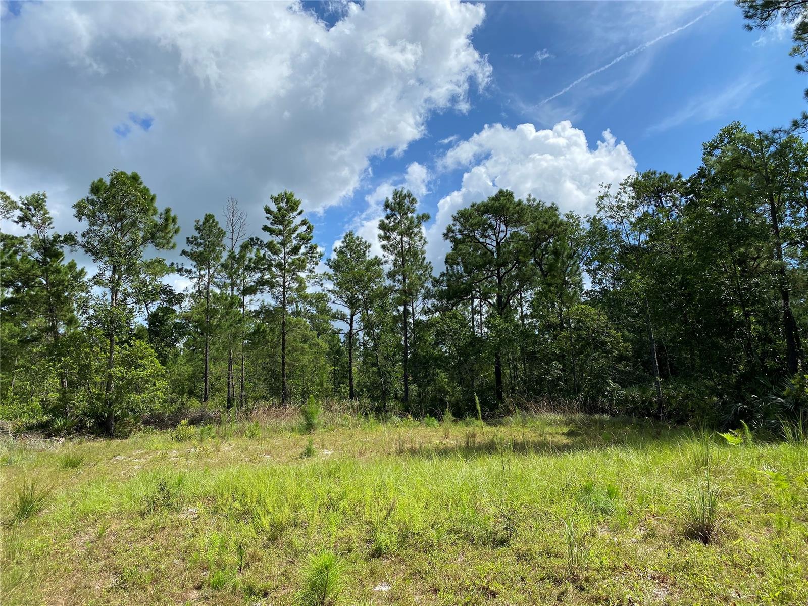 This is rural living at its best! 2.5 wooded acres near Lake Ashby in New Smyrna Beach. Has portion in rear of property cleared and ready for your new home! Very private! Zoned RA which allows for single family standard or manufactured modular dwelling with a minimum of 1,000 living square feet. Owner will consider financing with 25% down, 5 years at 5% interest.